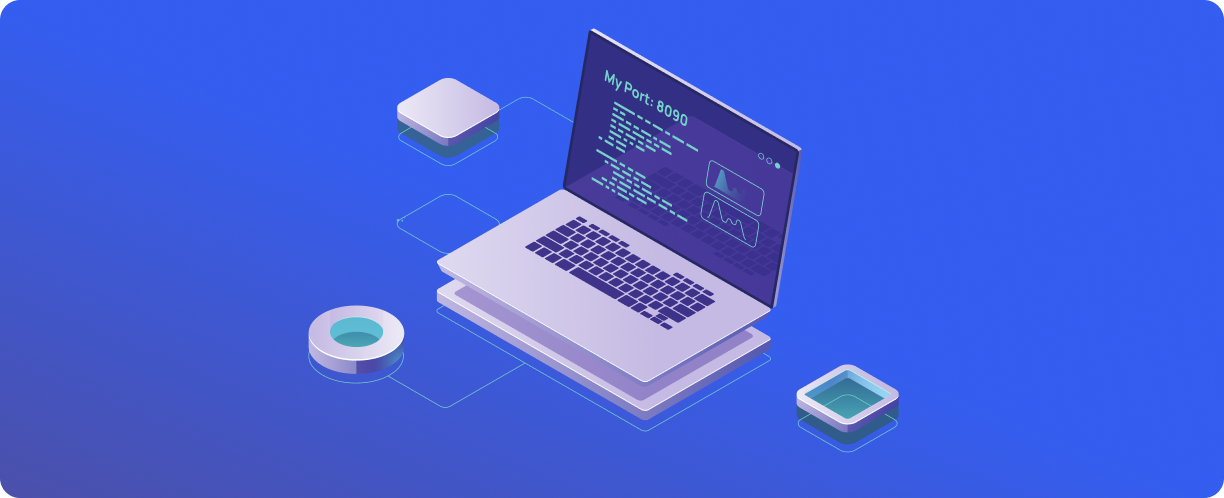 Proxy Port: What It Is and How to Find It Out